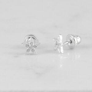 P34254-TOPO-ESTRELLA-DE-MAR-CIRCONES-TS-1.jpg TOPO ESTRELLA DE MAR CIRCONES TS